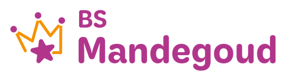 BS Mandegoud